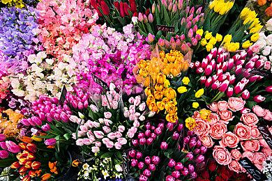 《Fractal Sailor》PC平台免费发布 环境重视恐怖新游